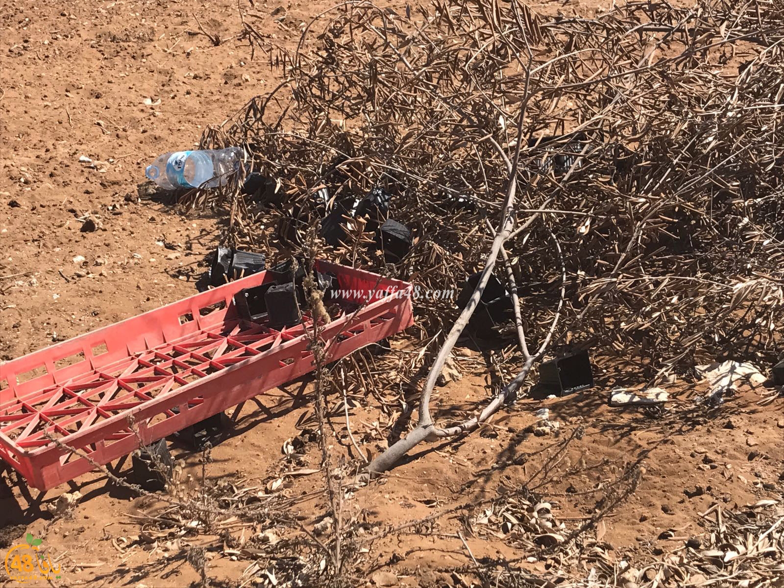 tasoo aswsaj3h (8).jpg